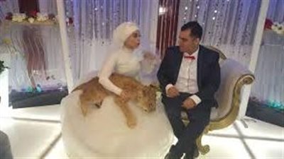 الفتي الغامض  كامله