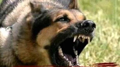 قصه دينيه كامله