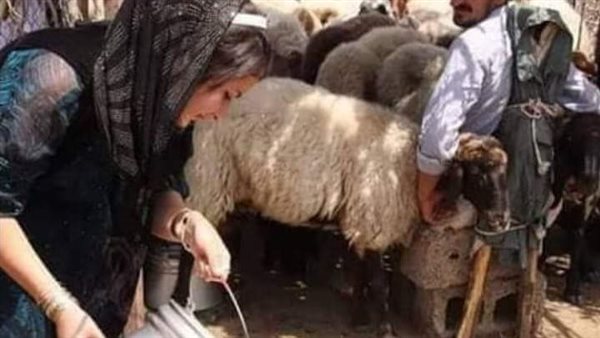 موقع أيام نيوز