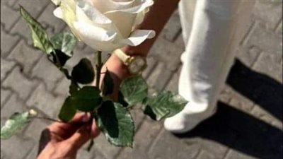 قصه كامله مشوقه 