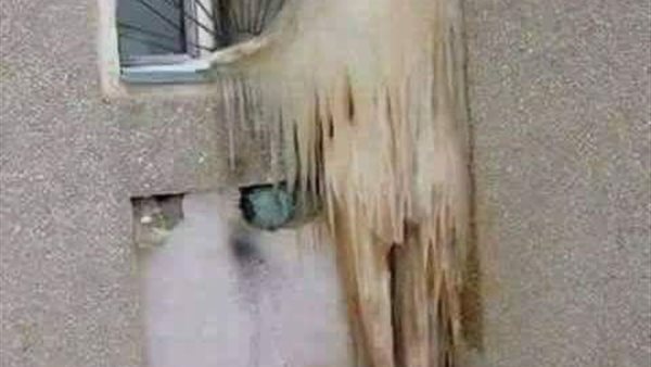 موقع أيام نيوز