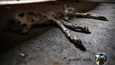 الجزء الاخير من شقتنا القديمه