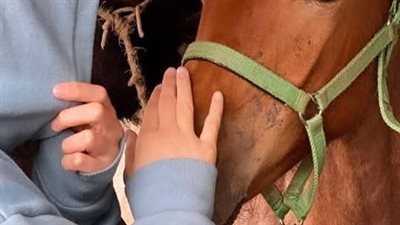 قصه كامله قصة الحطاب