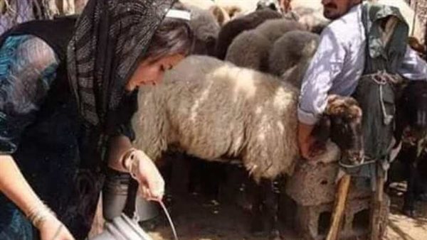 موقع أيام نيوز