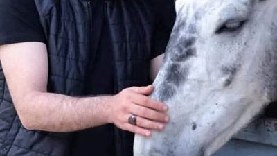 هروب قمر 